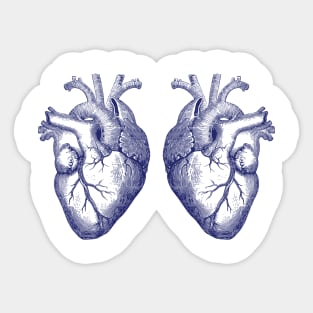 The man with 2 hearts Sticker